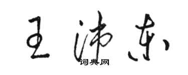 駱恆光王沛東草書個性簽名怎么寫