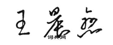 駱恆光王晨戀草書個性簽名怎么寫