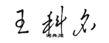 駱恆光王科名草書個性簽名怎么寫