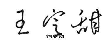 駱恆光王定甜草書個性簽名怎么寫