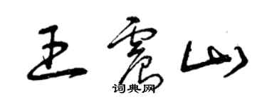 曾慶福王震山草書個性簽名怎么寫