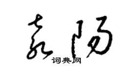 梁錦英袁陽草書個性簽名怎么寫