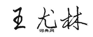 駱恆光王尤林行書個性簽名怎么寫