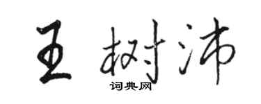 駱恆光王樹沛行書個性簽名怎么寫