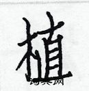 白克儉寫的硬筆楷書植