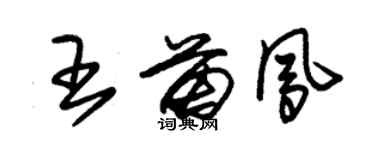 朱錫榮王苗鳳草書個性簽名怎么寫