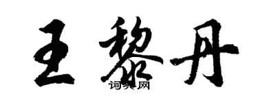 胡問遂王黎丹行書個性簽名怎么寫