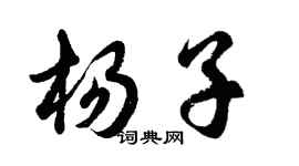 胡問遂楊子行書個性簽名怎么寫