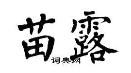 翁闓運苗露楷書個性簽名怎么寫