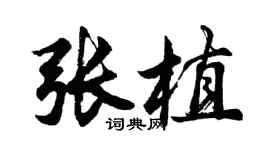 胡問遂張植行書個性簽名怎么寫