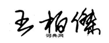 朱錫榮王柏傑草書個性簽名怎么寫