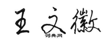 駱恆光王文徽行書個性簽名怎么寫