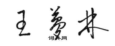 駱恆光王夢林草書個性簽名怎么寫