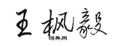 駱恆光王楓毅行書個性簽名怎么寫