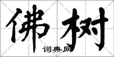 翁闓運佛樹楷書怎么寫