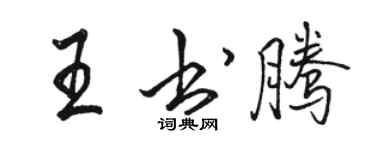 駱恆光王書騰行書個性簽名怎么寫