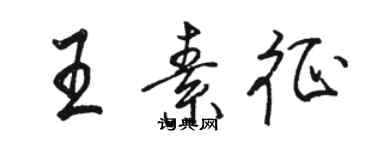 駱恆光王素征行書個性簽名怎么寫