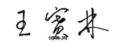 駱恆光王賽林草書個性簽名怎么寫