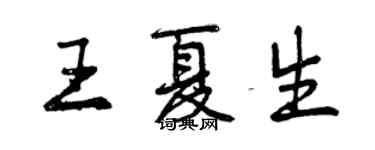 曾慶福王夏生行書個性簽名怎么寫