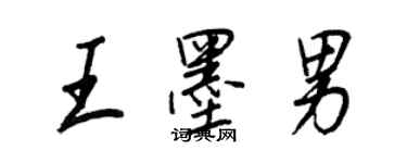 王正良王墨男行書個性簽名怎么寫