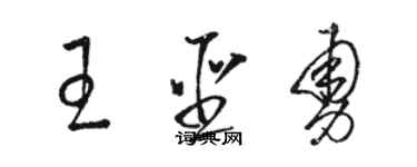 駱恆光王聖勇草書個性簽名怎么寫