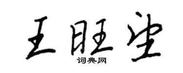 王正良王旺望行書個性簽名怎么寫