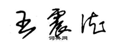 朱錫榮王震德草書個性簽名怎么寫