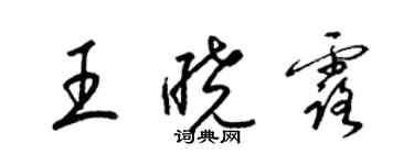 梁錦英王曉露草書個性簽名怎么寫