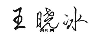 駱恆光王曉冰行書個性簽名怎么寫