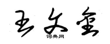 朱錫榮王文金草書個性簽名怎么寫