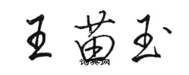 駱恆光王苗玉行書個性簽名怎么寫