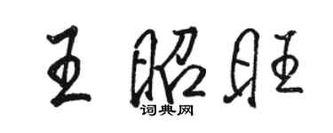 駱恆光王昭旺行書個性簽名怎么寫