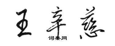 駱恆光王辛慈行書個性簽名怎么寫