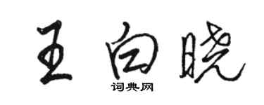 駱恆光王白曉行書個性簽名怎么寫