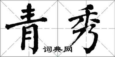 翁闓運青秀楷書怎么寫