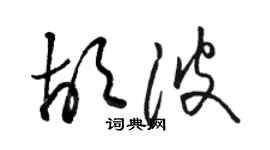 駱恆光胡波草書個性簽名怎么寫