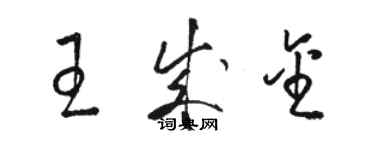 駱恆光王成金草書個性簽名怎么寫