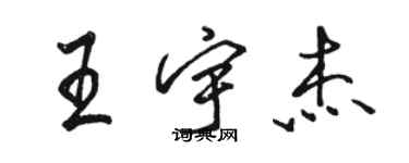 駱恆光王宇傑行書個性簽名怎么寫