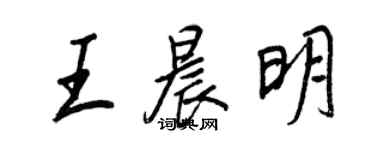 王正良王晨明行書個性簽名怎么寫
