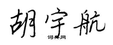 王正良胡宇航行書個性簽名怎么寫
