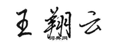 駱恆光王翔雲行書個性簽名怎么寫