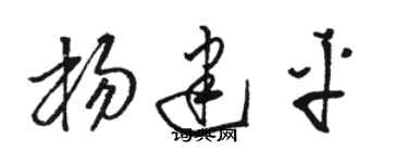 駱恆光楊建平草書個性簽名怎么寫