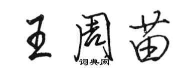 駱恆光王周苗行書個性簽名怎么寫