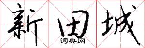 新田城怎么寫好看
