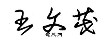 朱錫榮王文茂草書個性簽名怎么寫