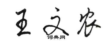 駱恆光王文農行書個性簽名怎么寫