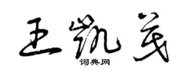 曾慶福王凱茂草書個性簽名怎么寫