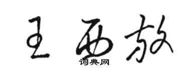 駱恆光王西放草書個性簽名怎么寫