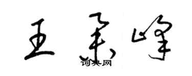 梁錦英王舉峰草書個性簽名怎么寫