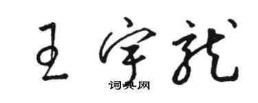 駱恆光王宇龍草書個性簽名怎么寫